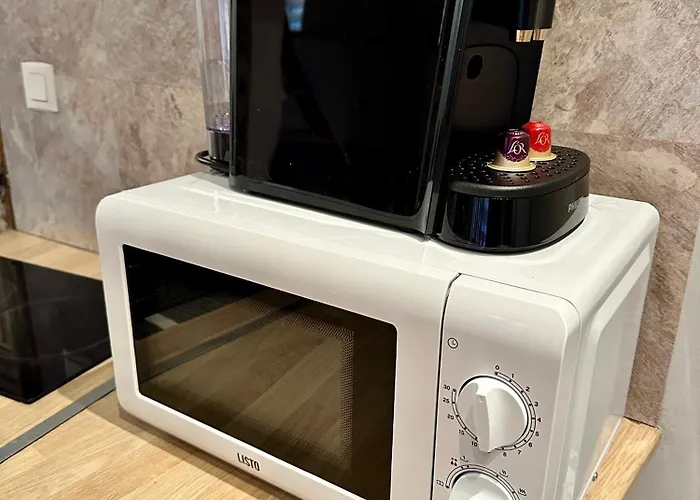 Agreable Plein Centre דירה סן-גודנס